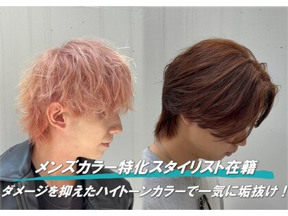 スティミュラス(Stimulus)の写真