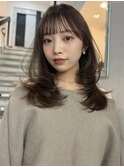 北野チェリーブラウンミニウルフ