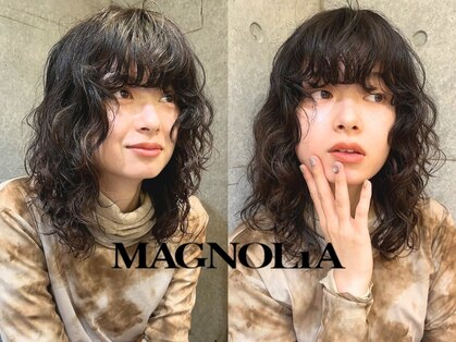 マグノリア(MAGNOLiA)の写真
