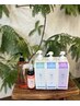 〔前処理頭皮ケア付〕カット＋リタッチカラー＋4STEP TR￥11110→