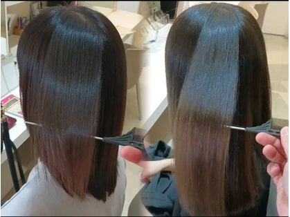 パルス(pulse)の写真