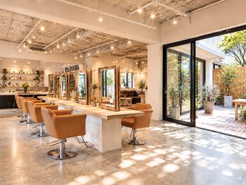 テラス 銀座(terrace)の写真/銀座駅徒歩3分、60坪の広々とした店内でマンツーマン接客を堪能する癒やしの時間☆【銀座駅/銀座髪質改善】