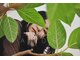 ナンブガーデン(nambu GARDEN)の写真