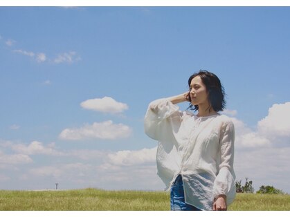ロホ(ROHO)の写真