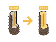 【表面ケアではなく、内部から整える髪質改善】