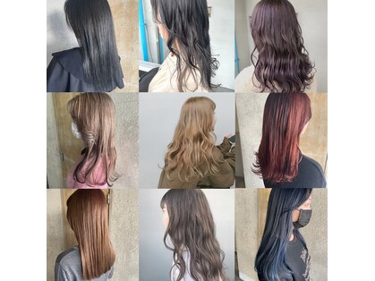 フロップニク(FLOPNIK)の写真