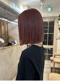 乾かすだけでキマる髪/馴染むハイトーン切りっぱなしボブ