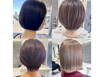 ノーラ(nolla)の写真