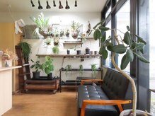 ヘアーアンドロゼオ(Hair&ROSEO)の雰囲気(植物に囲まれた待合!!)