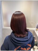 レッドブラウン／赤茶色／塩基性カラー／キラテラカラー