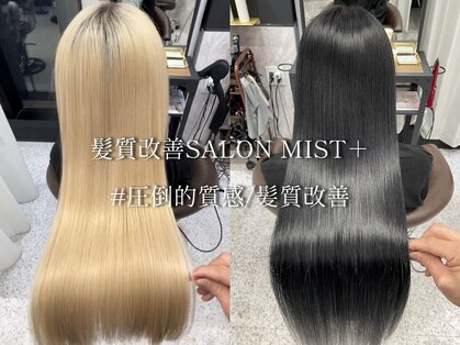 ミストプラス(MIST+)の写真