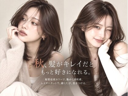 フォルテロゼ 横浜(FORTE rose)の写真