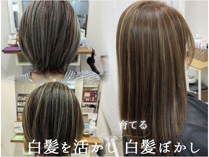 ベアーズ1の写真