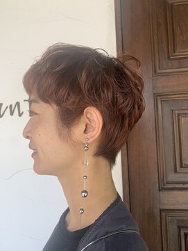 アント(ant.) 柔らかショート