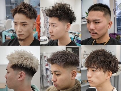 キューカンバー(CUCUMBER)の写真
