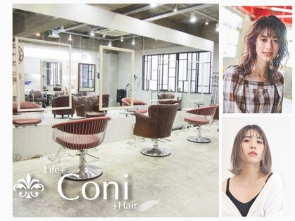 コニ(Coni)の写真