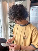 プードルパーマ