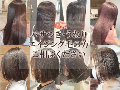 イコール 船橋(equal)の写真