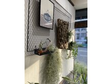メンズ(MEN's)