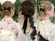 ロカット サロン(Roquat Salon)の写真/立川3分【早朝OK!結婚式/花火大会/成人式/日本髪/振袖】成人式受付中！[浴衣＋ヘアセット￥4800～]