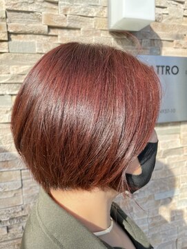 クアトロアネックス(QUATTRO annex) チェリーレッドカラー