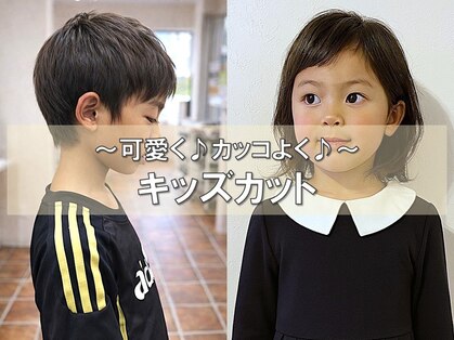 アウラ(AULA)の写真