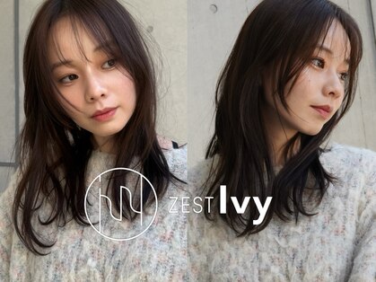 ゼスト アイヴィ(ZEST Ivy)の写真