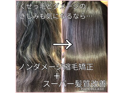スタッフニュートラルの写真