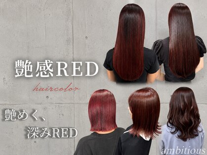 アンビシャス 北坂戸(ambitious)の写真