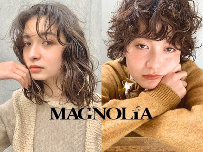 マグノリア(MAGNOLiA)の写真