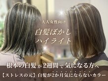 ヘアー ルクス(hair Lux)の雰囲気（《染めても白髪が2週間で気になってしまう方》にオススメです）