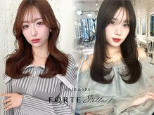 フォルテステラ(FORTE STELLA)
