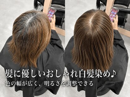 ガーデン バイ イル(GARDEN by illu Co.Ltd)の写真
