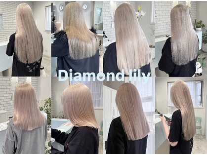 ダイアモンドリリー(Diamond Lily)の写真