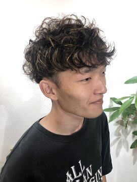 ログ ヘアー(LOG HAIR) ハイライト