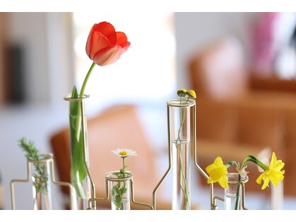 ピオニー(PEONY)の写真