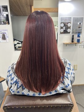 エルパライソ リフォ(Elparaiso Reff) チェリーレッド