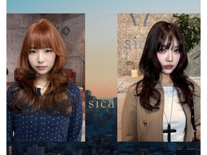 シカ(sica)の写真
