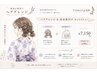 お祭りヘアアレンジ+浴衣着付