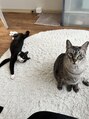 ロミバイリー(Romi by Lyee) 猫2匹一緒に住んでくださっています！