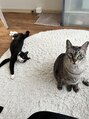 ロミバイリー(Romi by Lyee)&nbsp;猫2匹一緒に住んでくださっています！