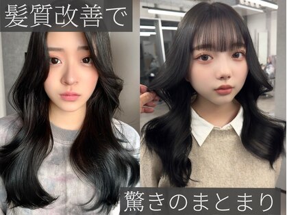 センス(SENSE.)の写真