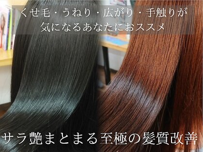 ベアーズ1の写真