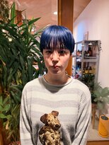 シツ(situ) ブルーマッシュショート