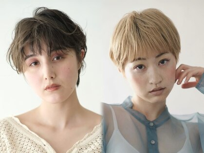 アンジュ ラヴィ(Ange Lavie)の写真