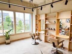 organic hair salon parte