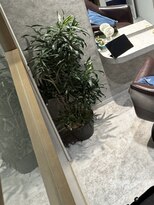 ワタトリ(waTatori)&nbsp;店内