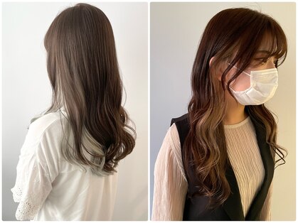 シェリッシュ ノース(Sheriche North)の写真