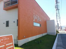ジンルッカ(JIN Lucca)の雰囲気（国道沿いにあってオレンジの目立つ建物です＊）