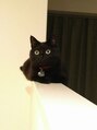 ロレ(lole.) 実家では、チワワ今黒ネコと一緒に住んでます♪